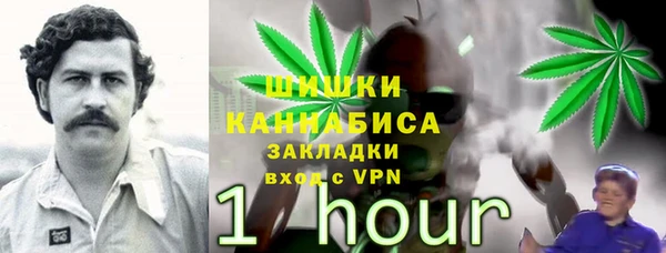 ECSTASY Инсар