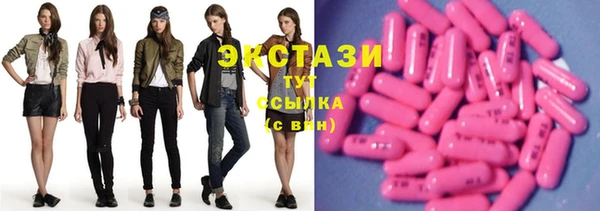 ECSTASY Инсар