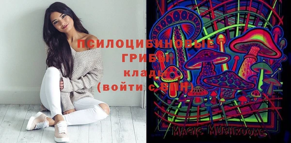 герыч Иннополис