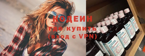 ECSTASY Инсар