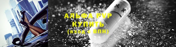 герыч Иннополис