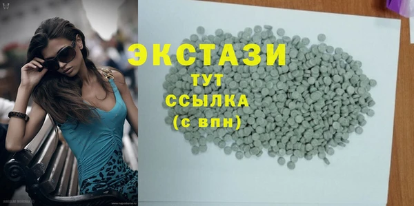 ECSTASY Инсар