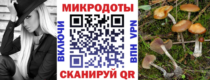 Купить  Чухлома  Галлюциногенные грибы мицелий 